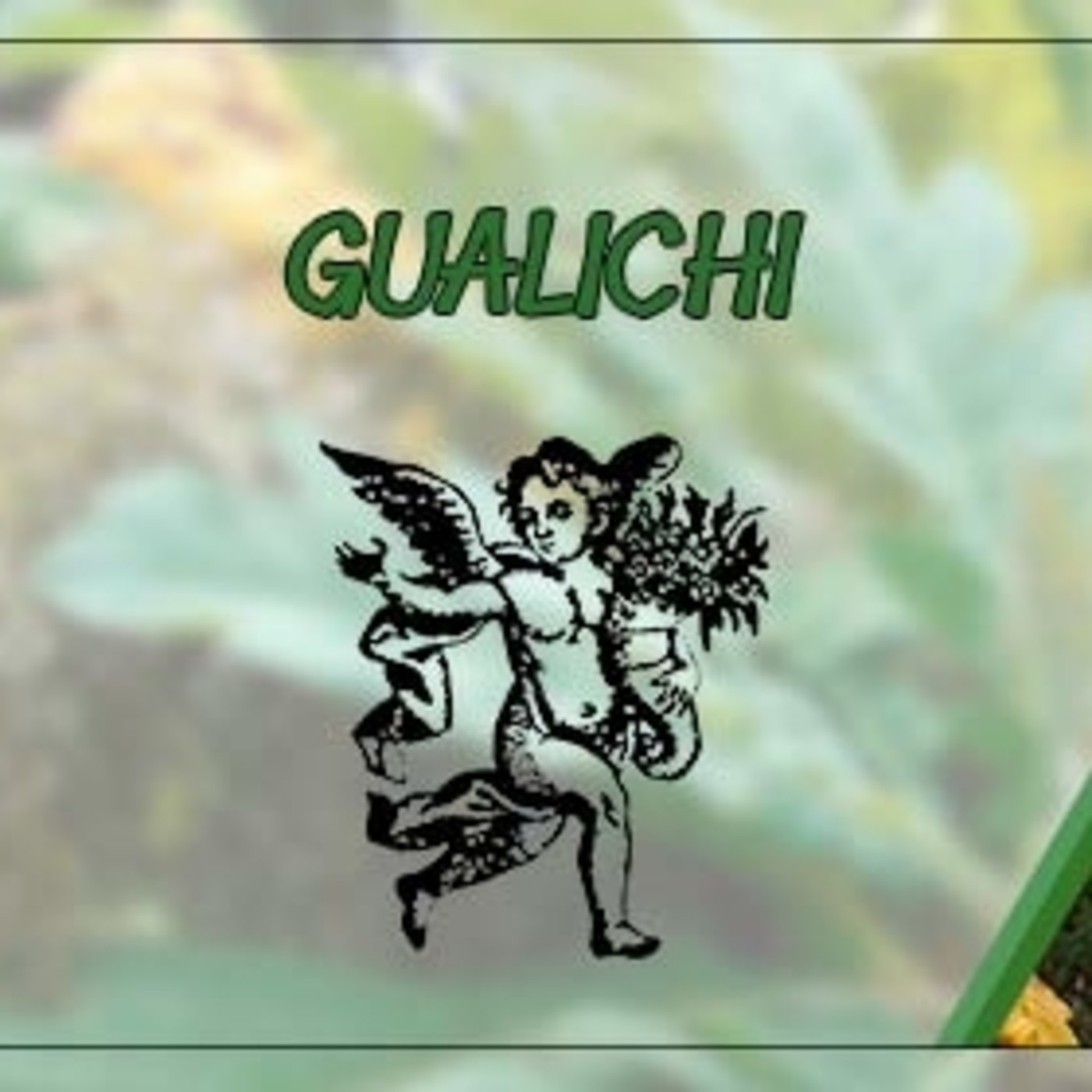 El Ángel de tu Salud - GUALICHI* episode artwork