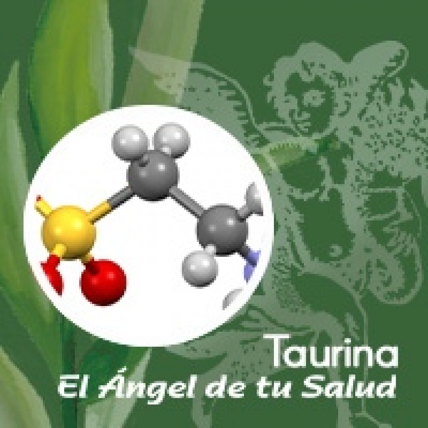 El Ángel de tu Salud - Taurina **