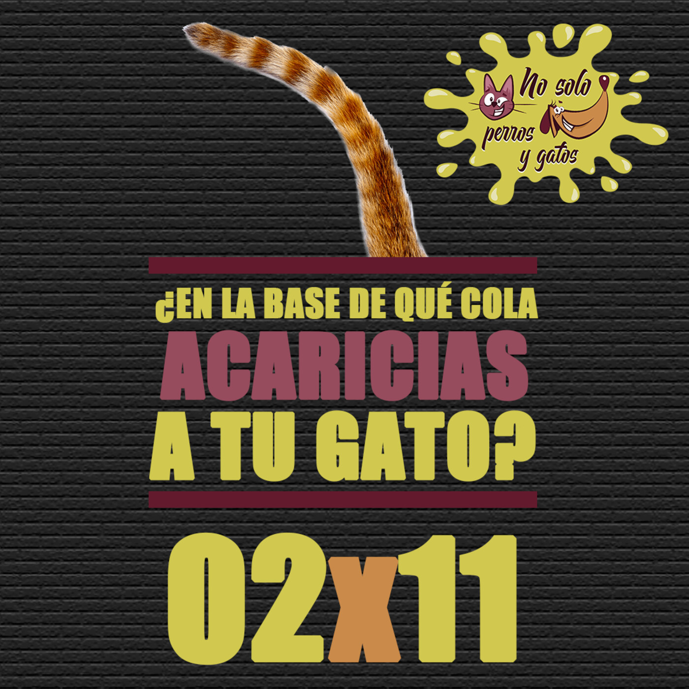 No solo perros y gatos