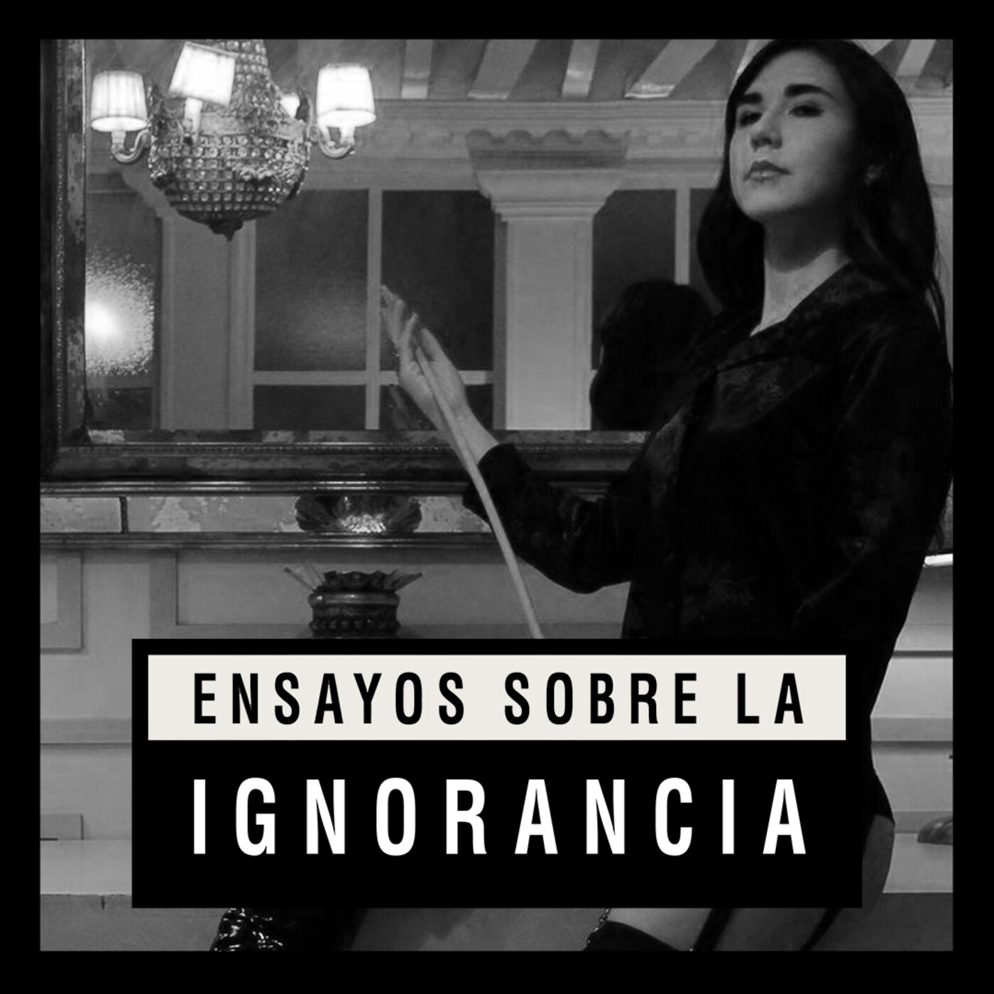 Ensayos sobre la ignorancia
