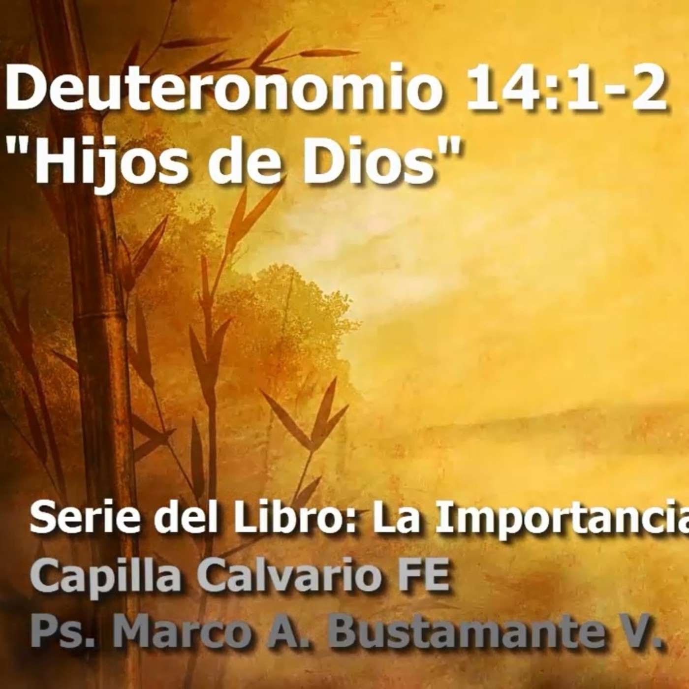 Deuteronomio - La importancia de la obediencia