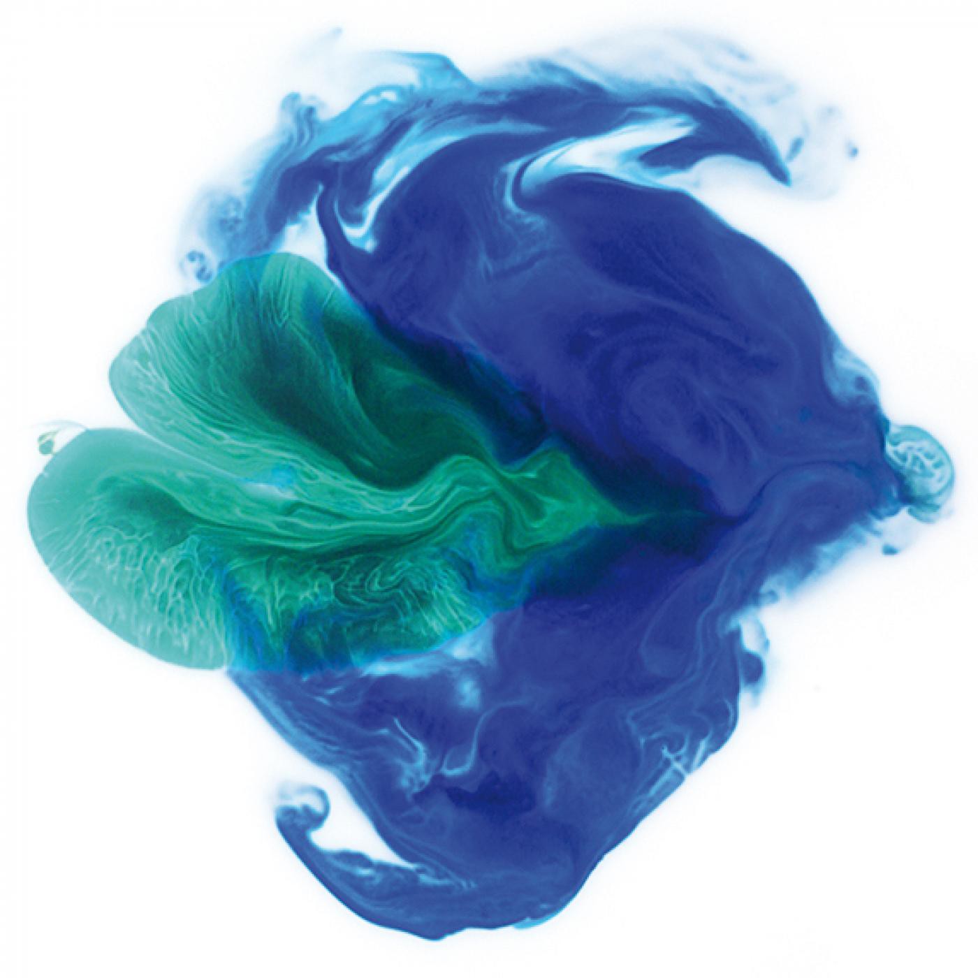 conciencia de la Consciencia