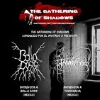 Podcast 20 - Entrevista a Toxocracia y Bella Dosis