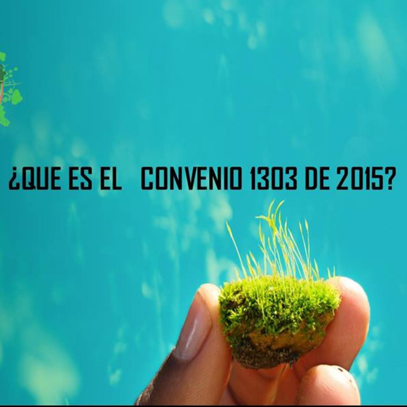 Entrevistas por Teusaradio