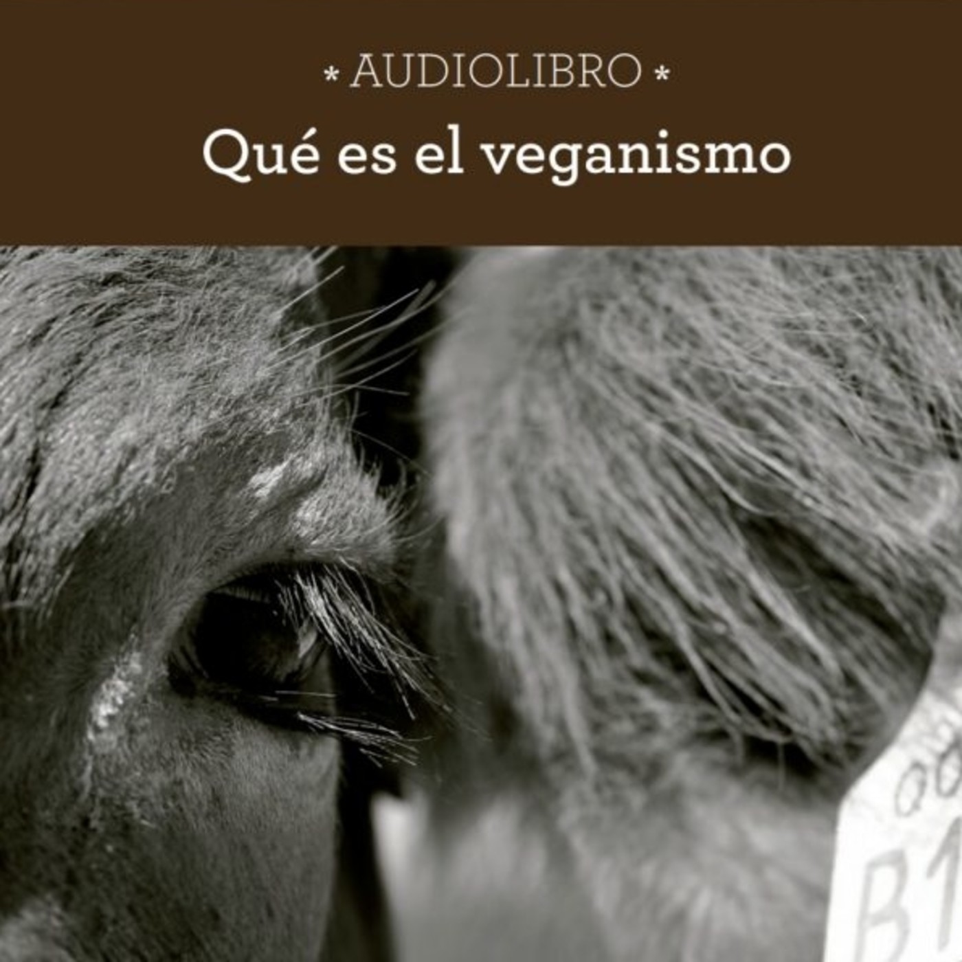 ochodoscuatro ediciones