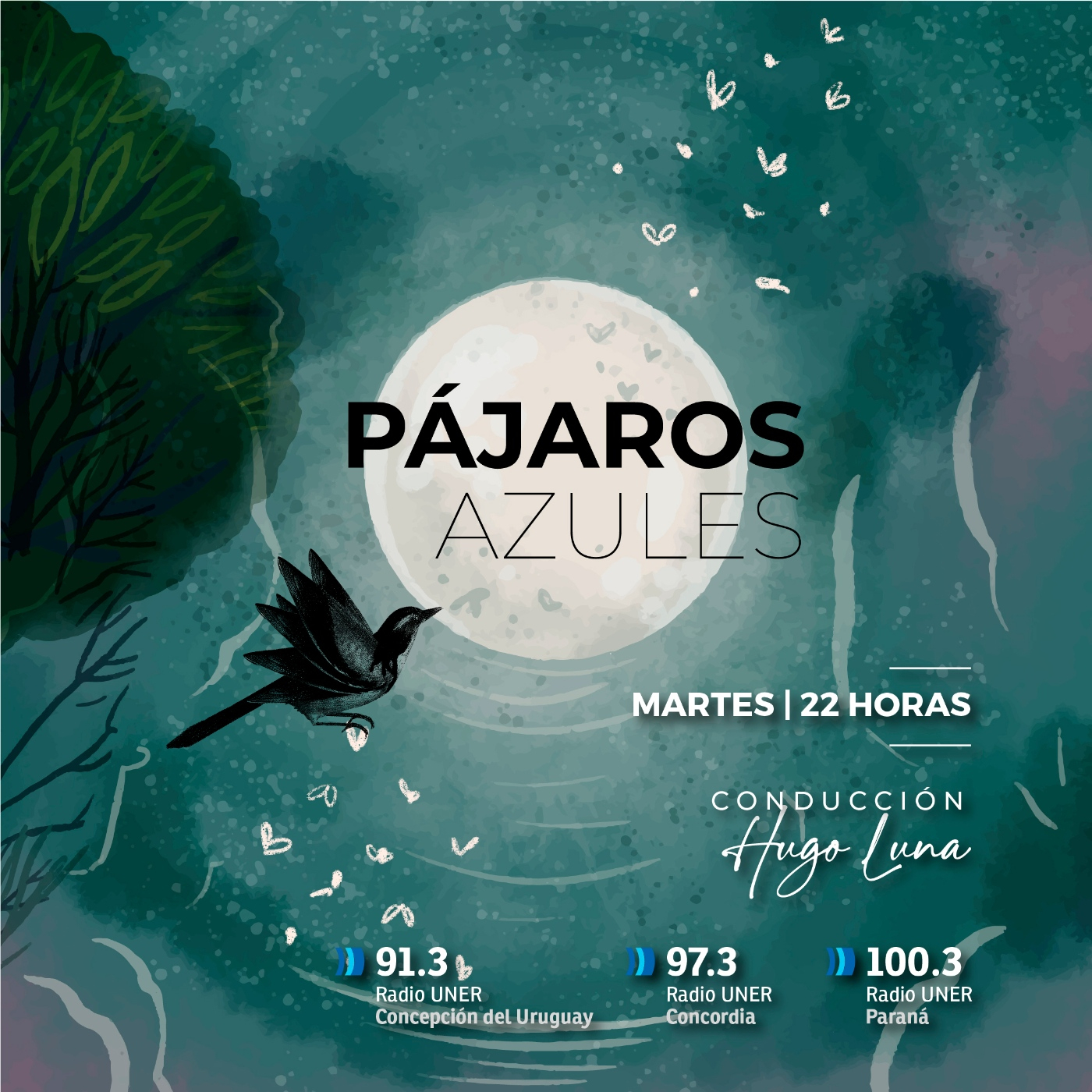 Pájaros Azules