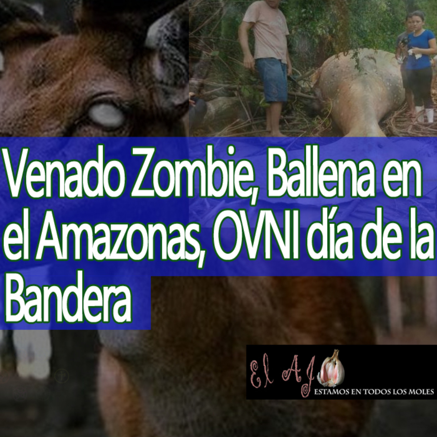 Misterio 3 Venado Zombie (EUA-Canadá), Ballena en el Amazonas (Brasil) y el OVNI del día de la Bandera (México) episode artwork