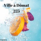 Ville 225