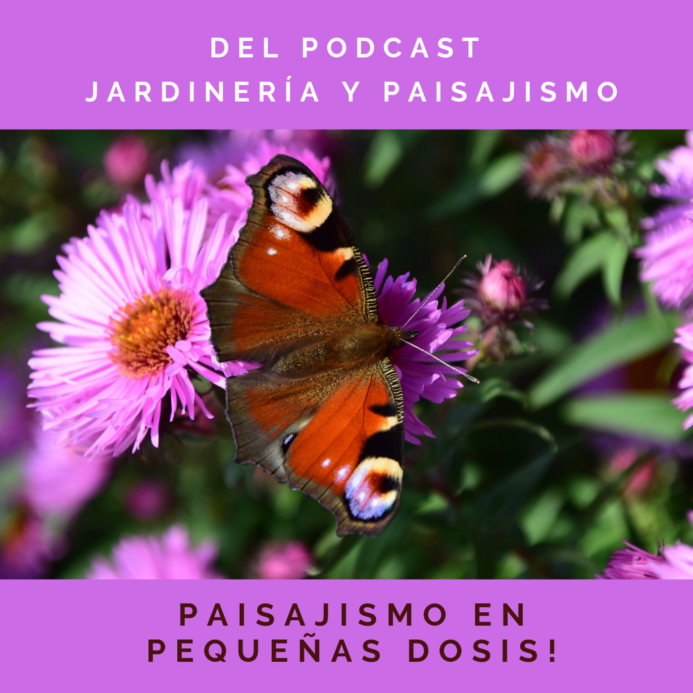 # 20 - El empleo ornamental del agua en el paisajismo - Primer entrega episode artwork