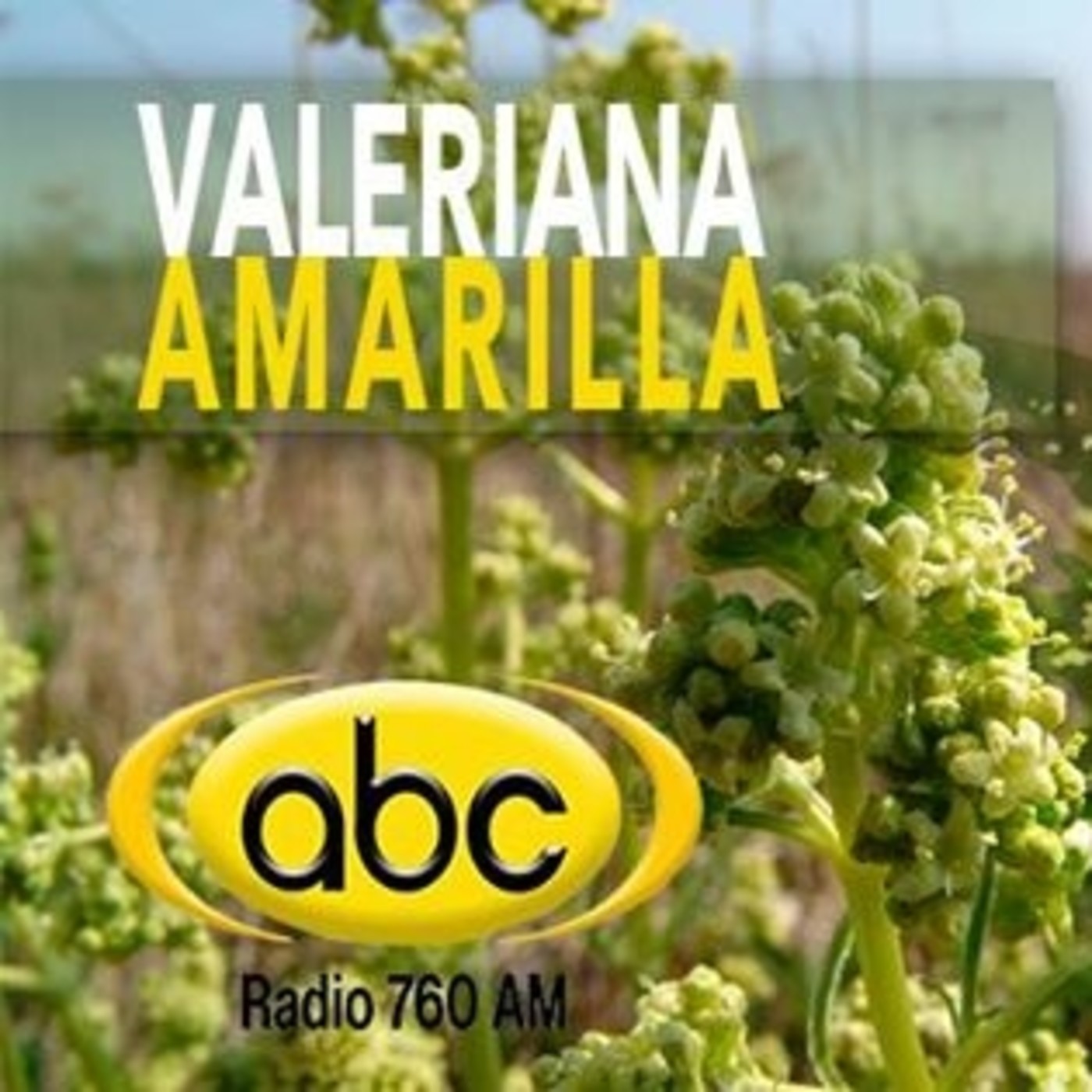 El Ángel de tu Salud - VALERIANA AMARILLA episode artwork