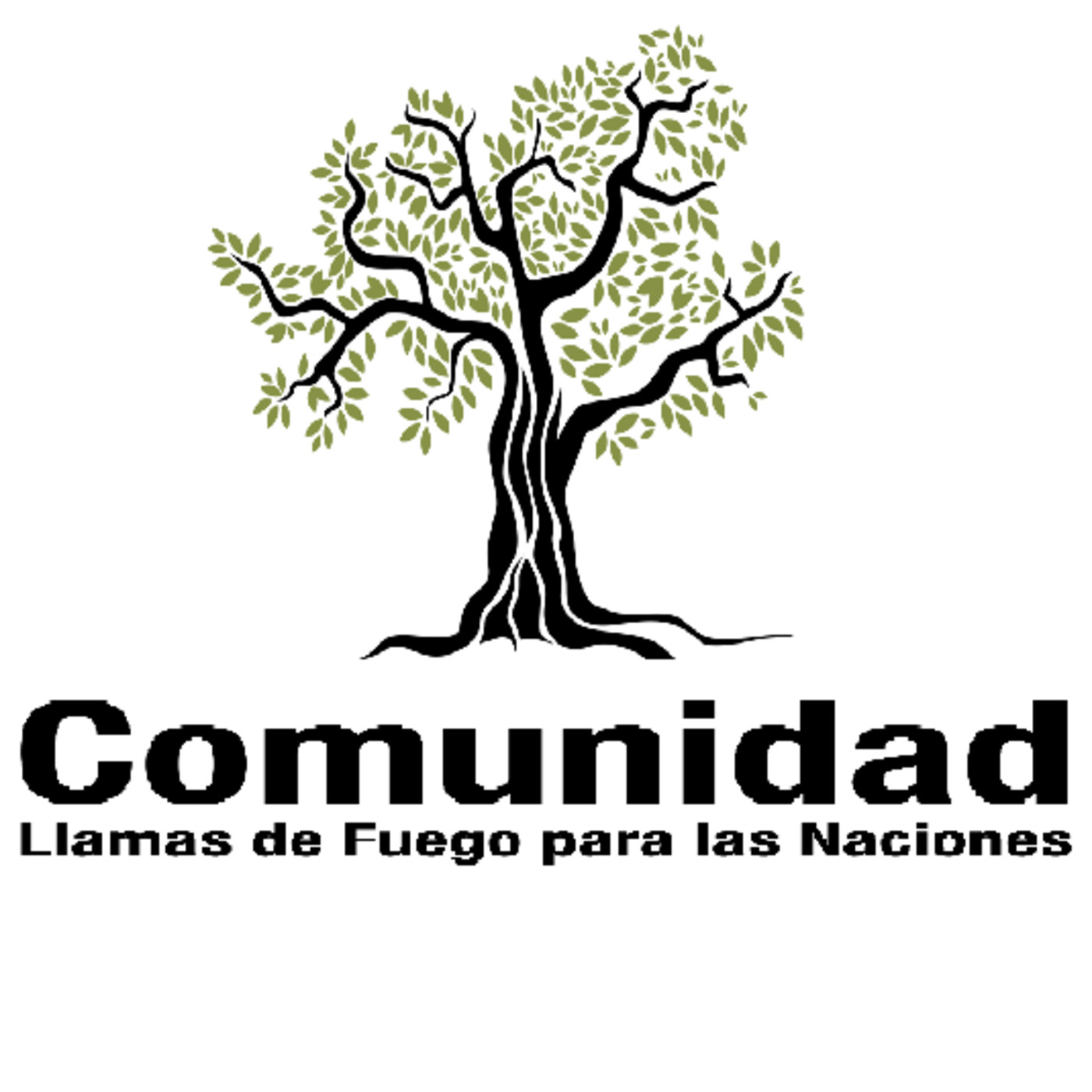 Estudios de la Parashat