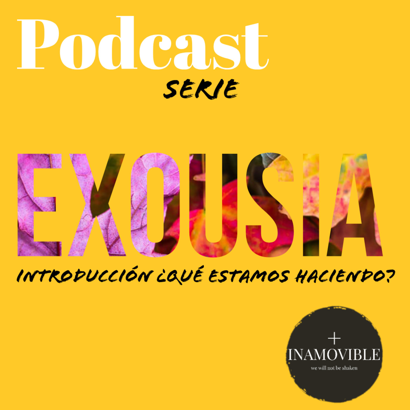 Inamovible+