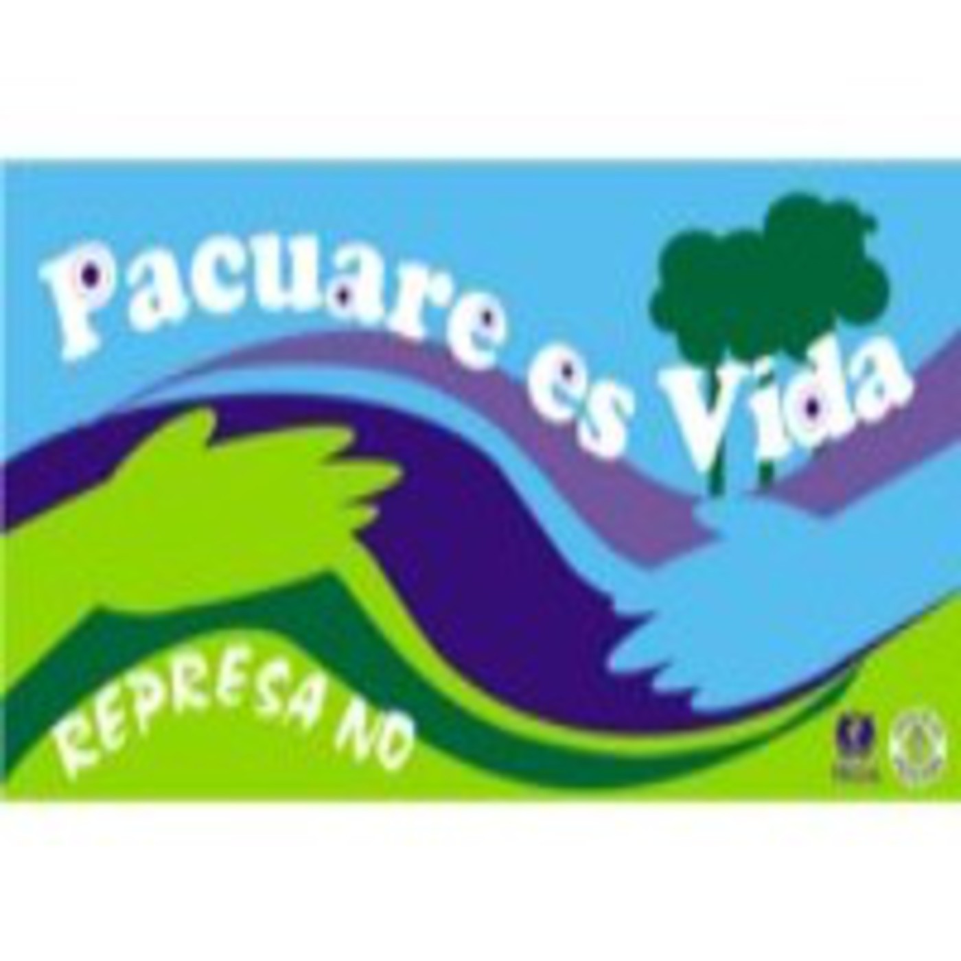 América con acento - Entrevista a Eugenio Guido sobre defensa del rio Pacuare - 24/01/2013