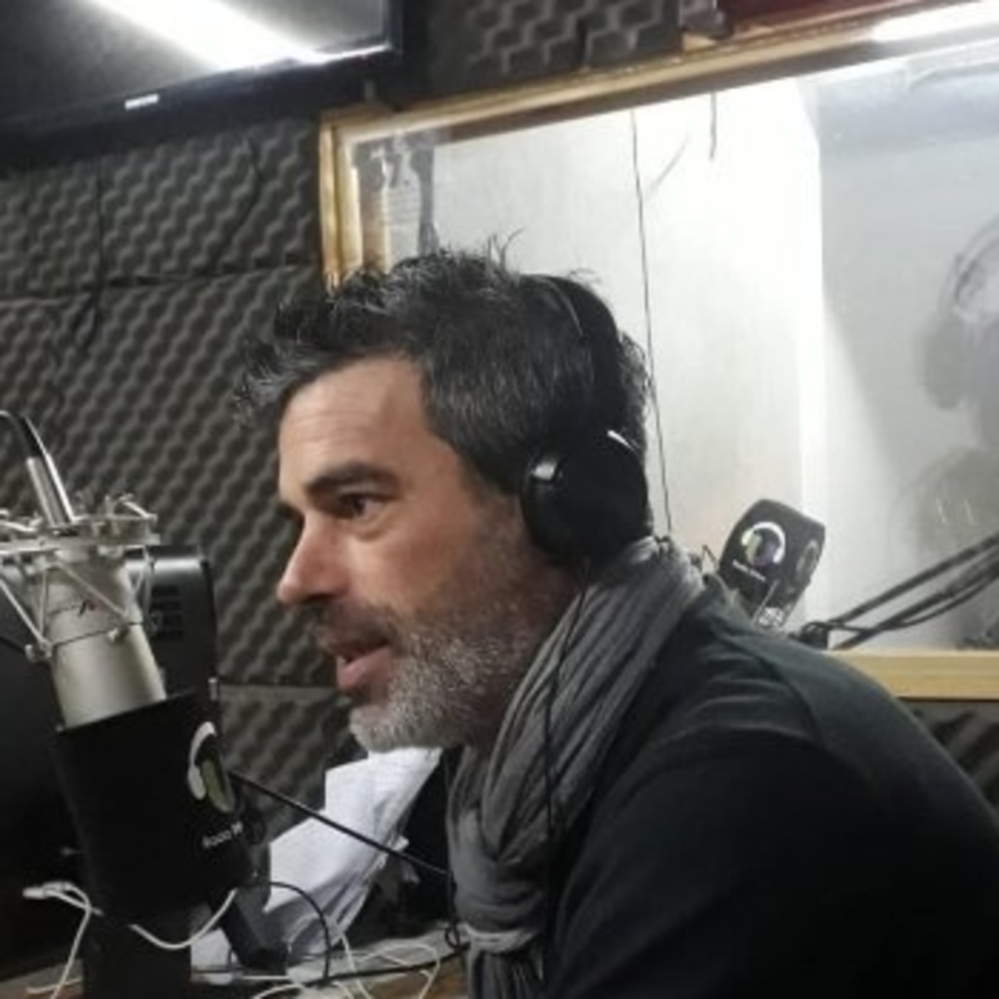 DECISIÓN 96 LA POLITICA EN VIVO
