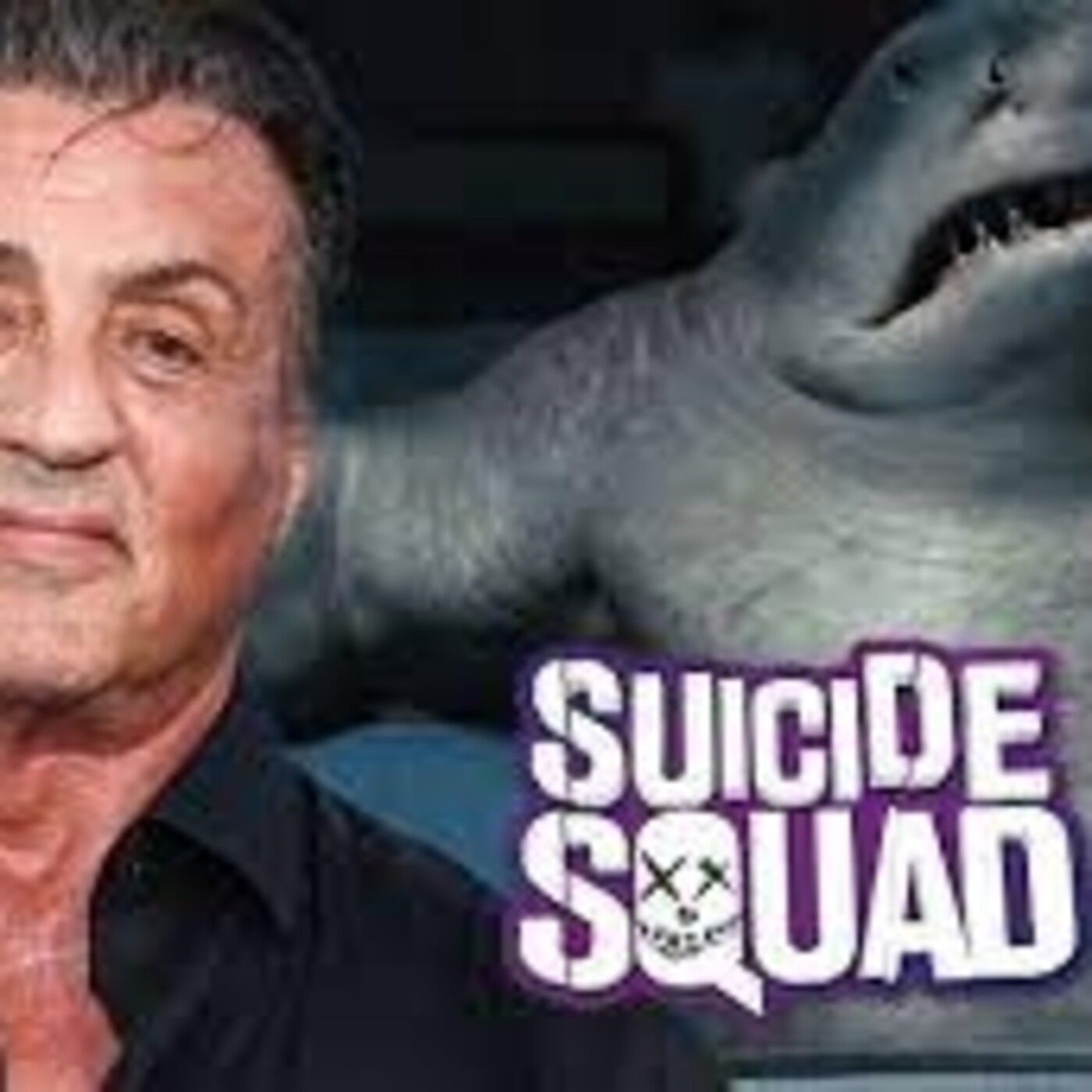 Stallone de mi vida