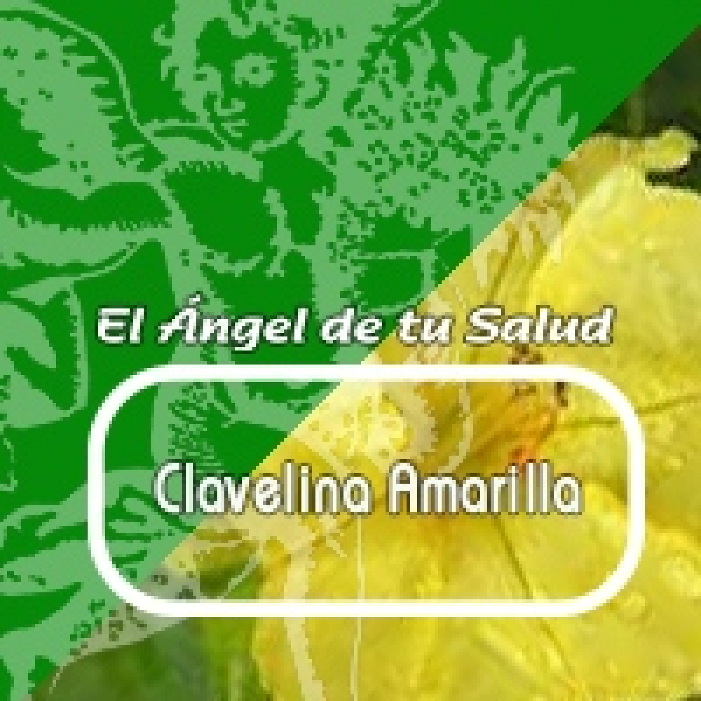 El Ángel de tu Salud - CLAVELINA AMARILLA****** episode artwork