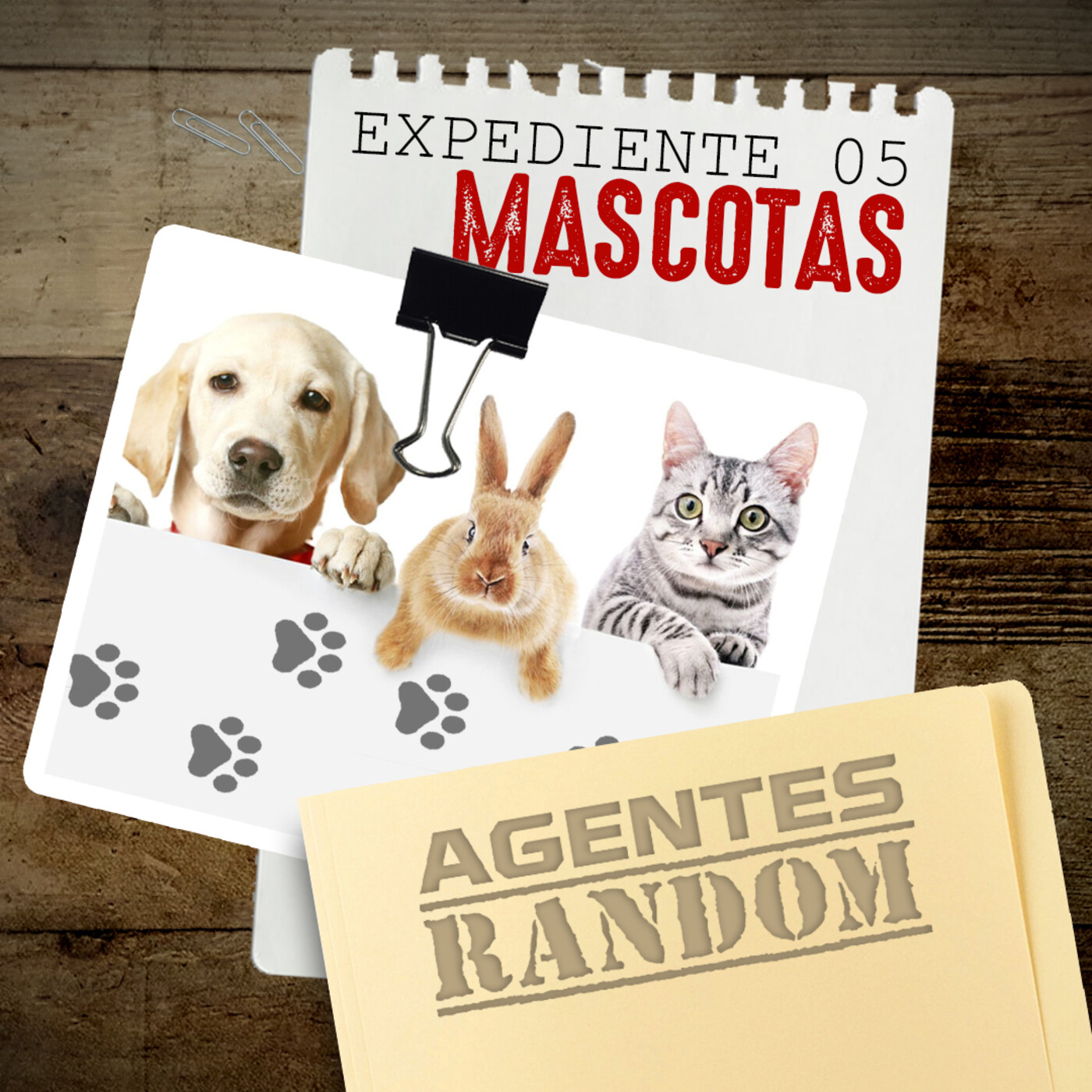 Agentes Random