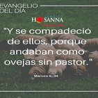 Padre John- Reflexión evangelio madrugada del 09 de Febrero de 2019