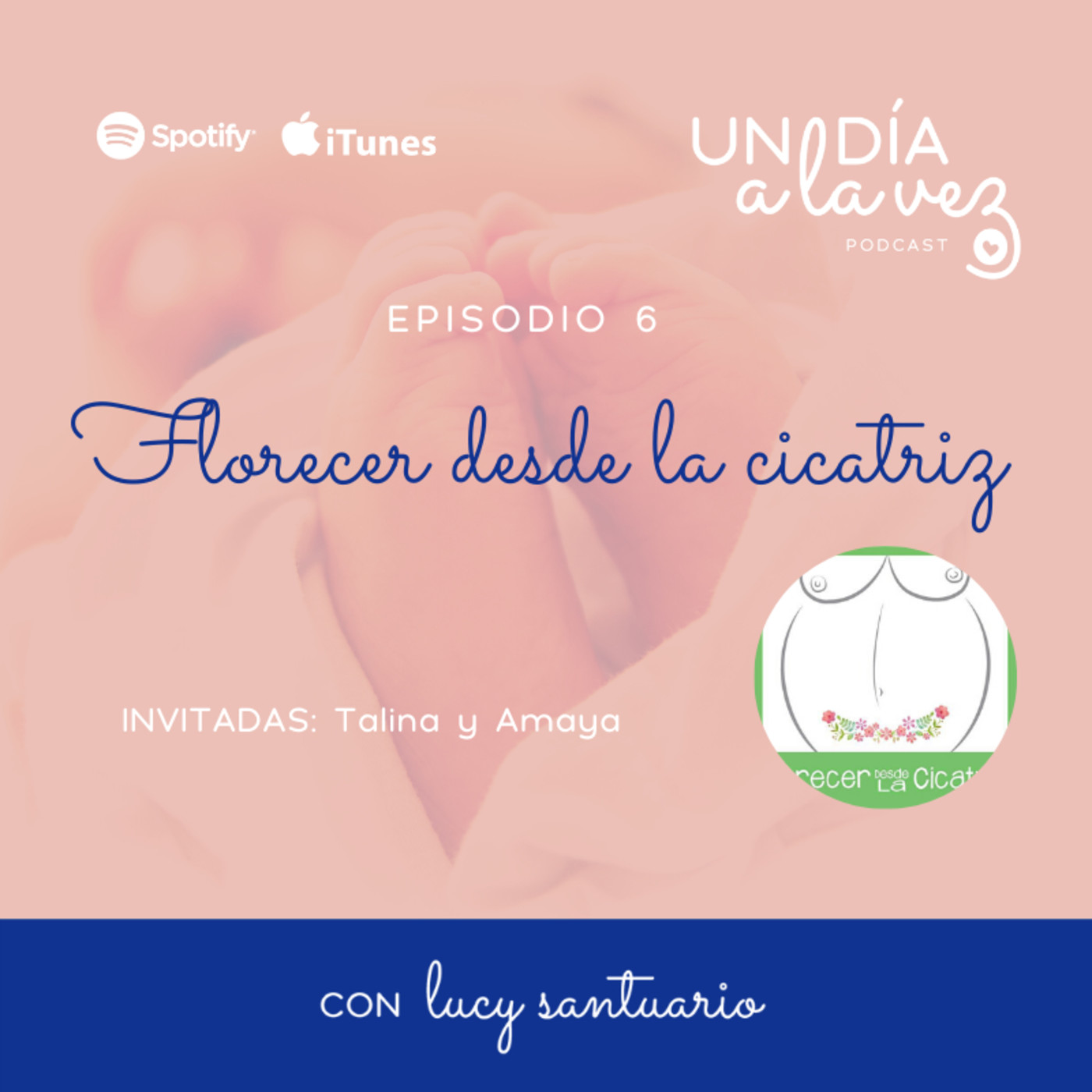 Florecer desde la cicatriz