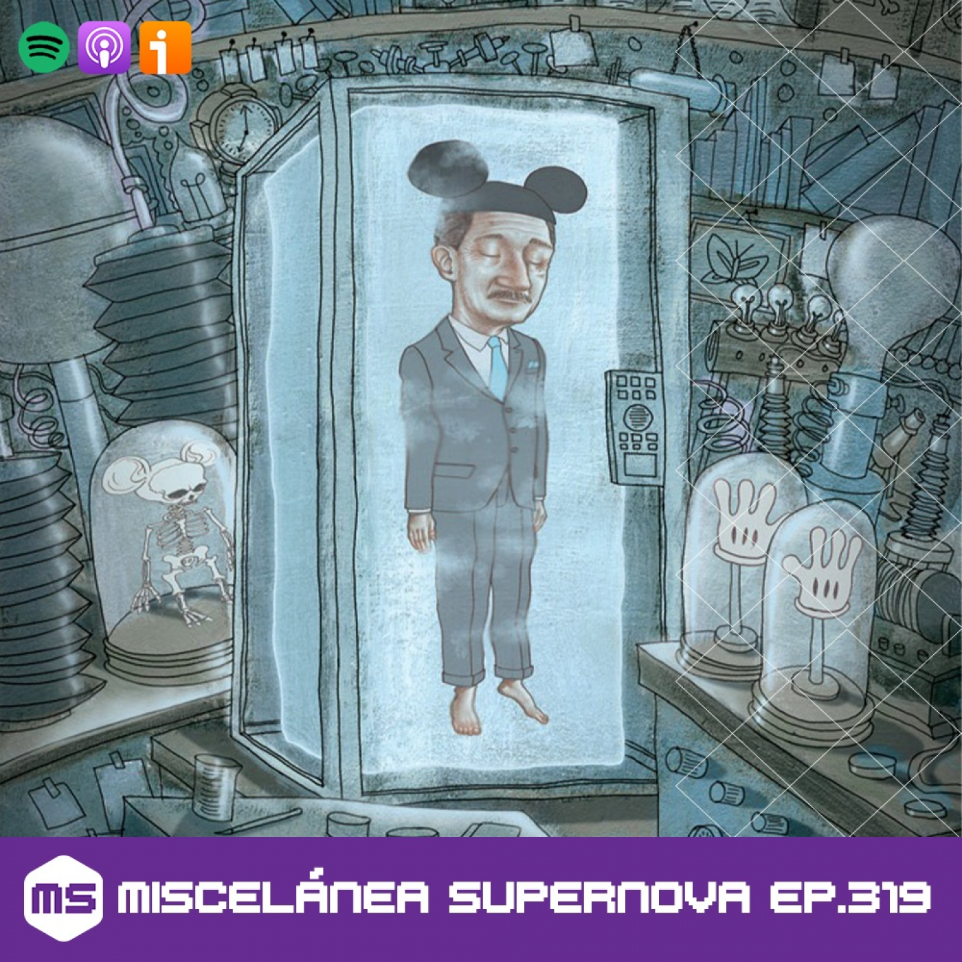 Miscelánea Supernova