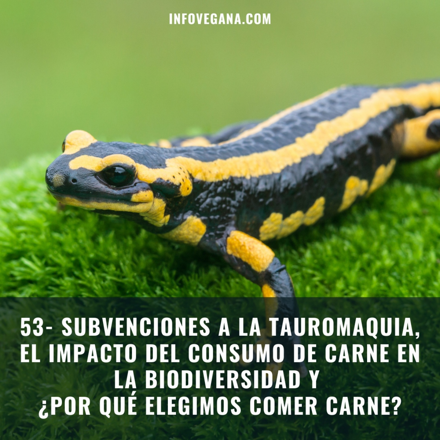 Infovegana, podcast de veganismo y sostenibilidad