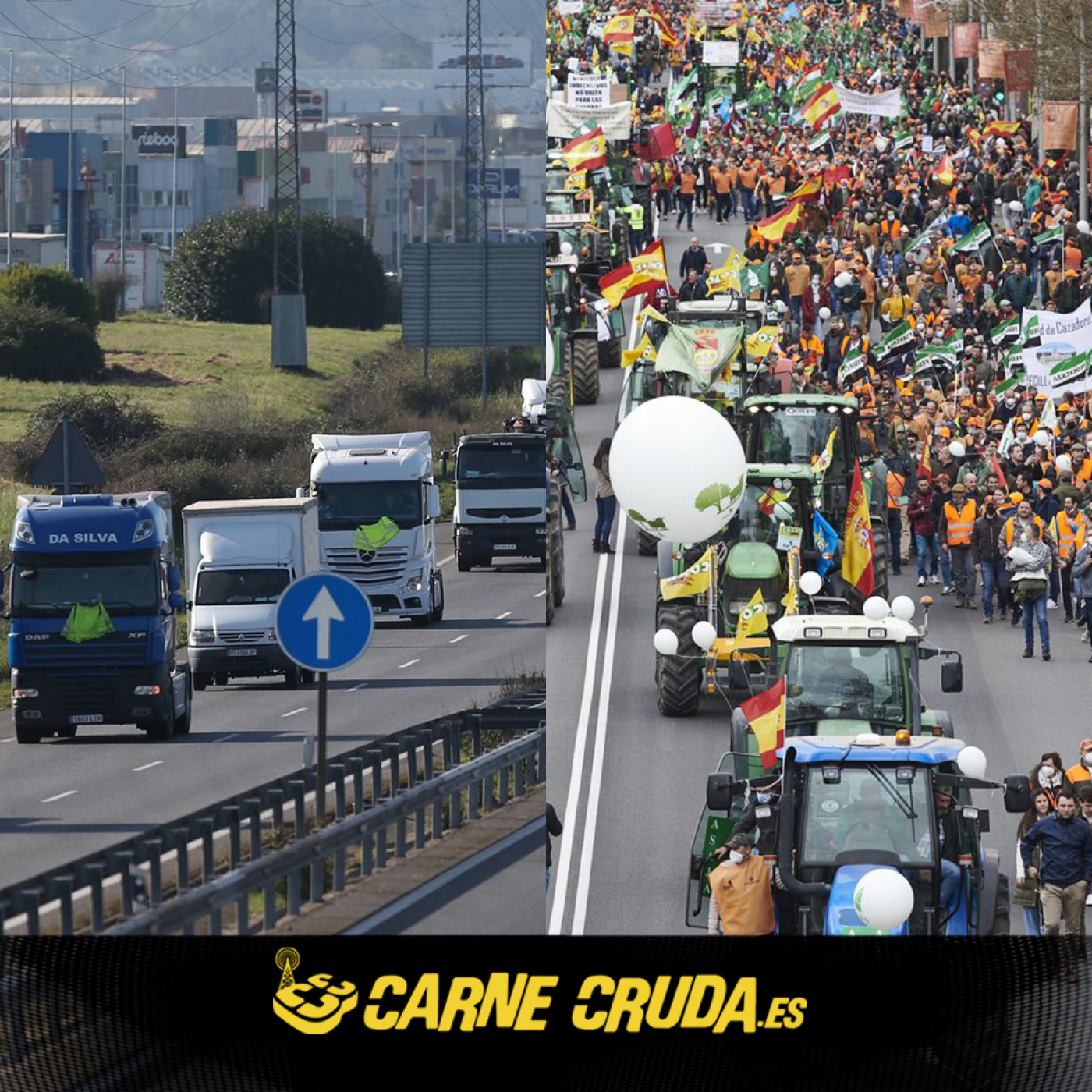 Carne Cruda - PROGRAMAS