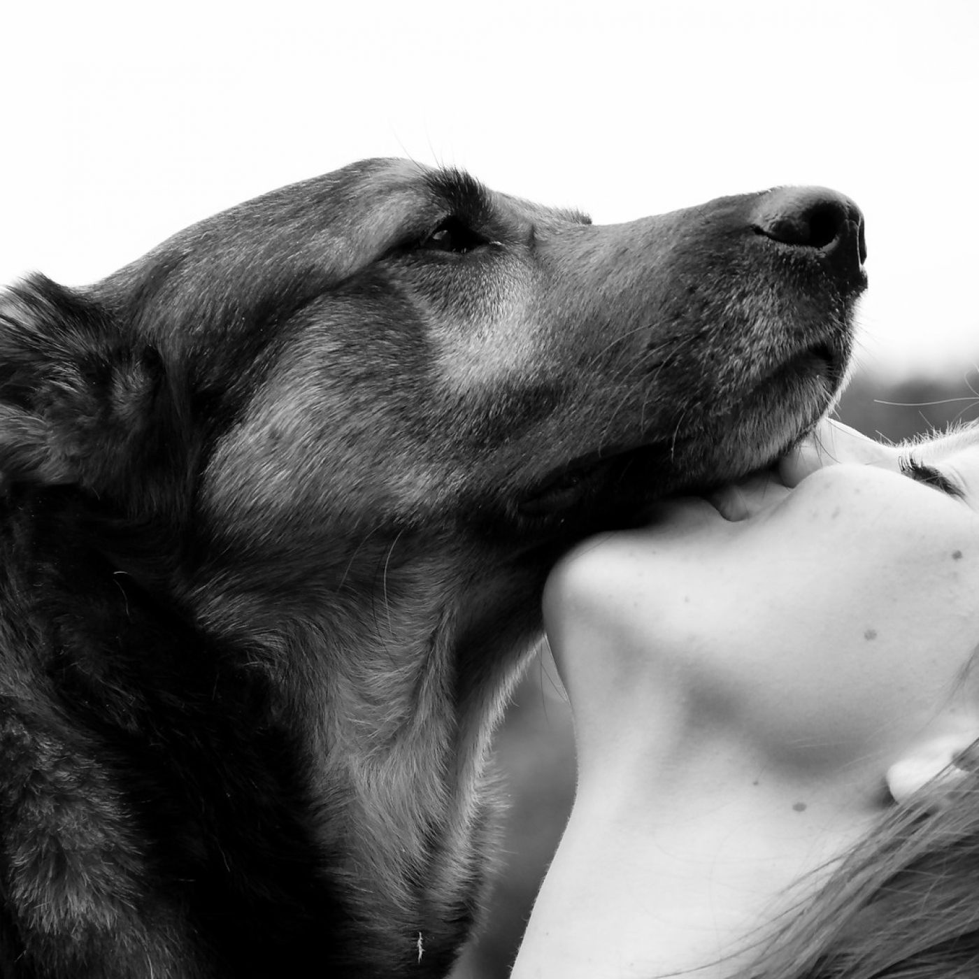 Roger Àlvarez Meditación