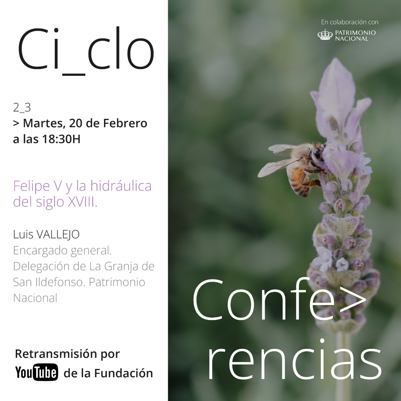 Conferencias
