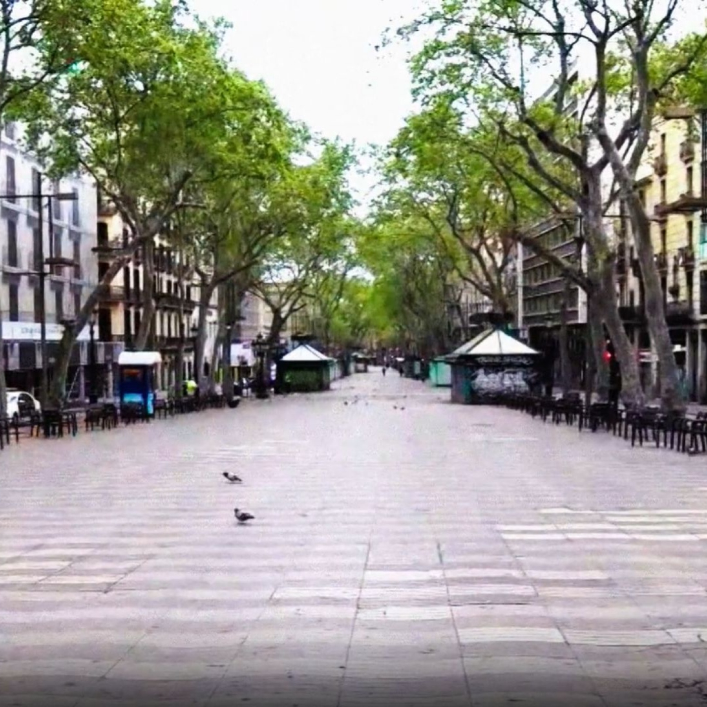 Una Historia alternativa y simultánea de Barcelona: 2020 - Episodio exclusivo para mecenas episode artwork