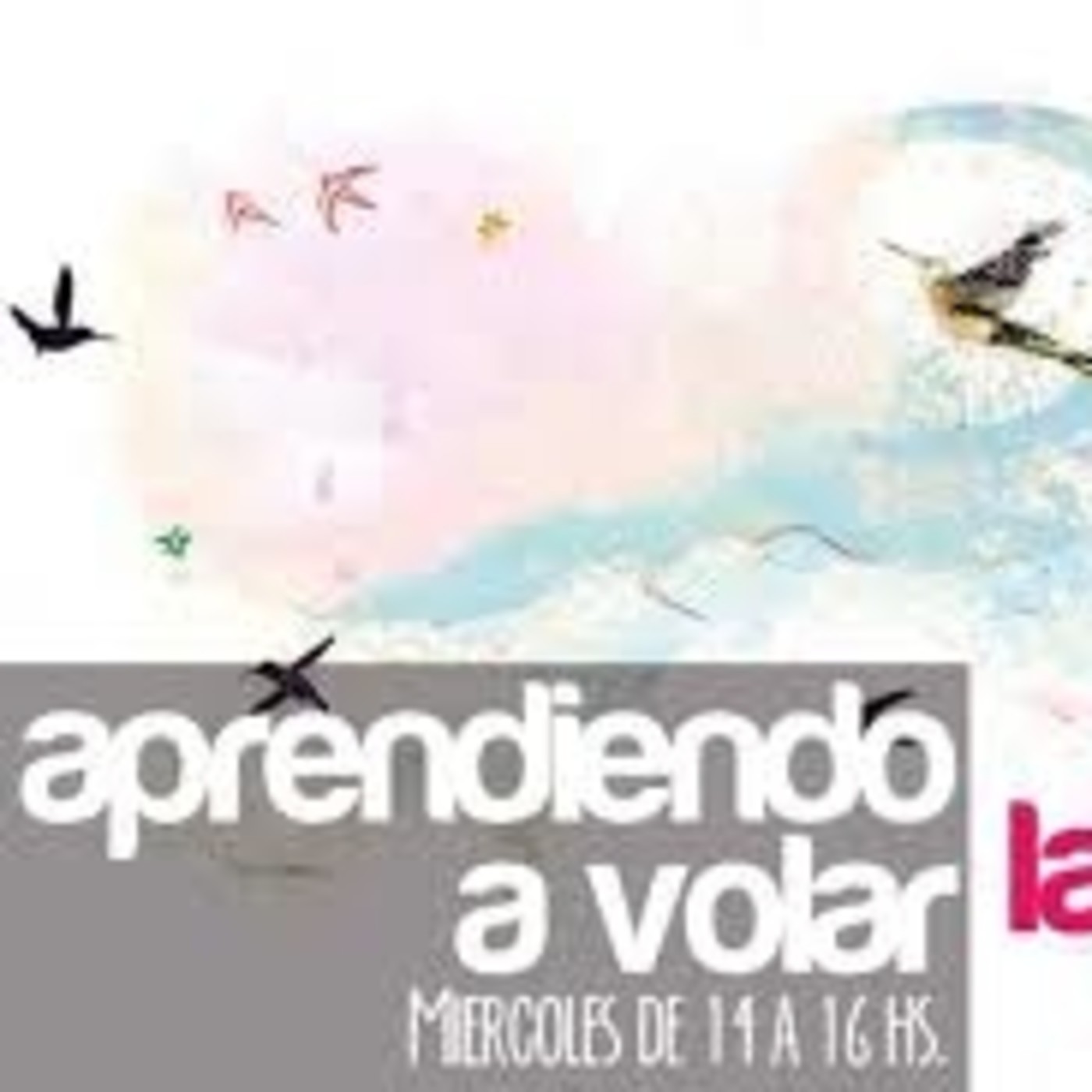 Aprendiendo a Volar