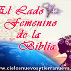 Suegra de Pedro | Mujeres de la Biblia | Serie El Lado Femenino de la Biblia