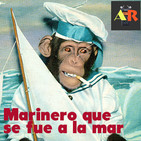 embed image