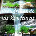 0176 - Profecías realizadas por Jesús. 9° parte