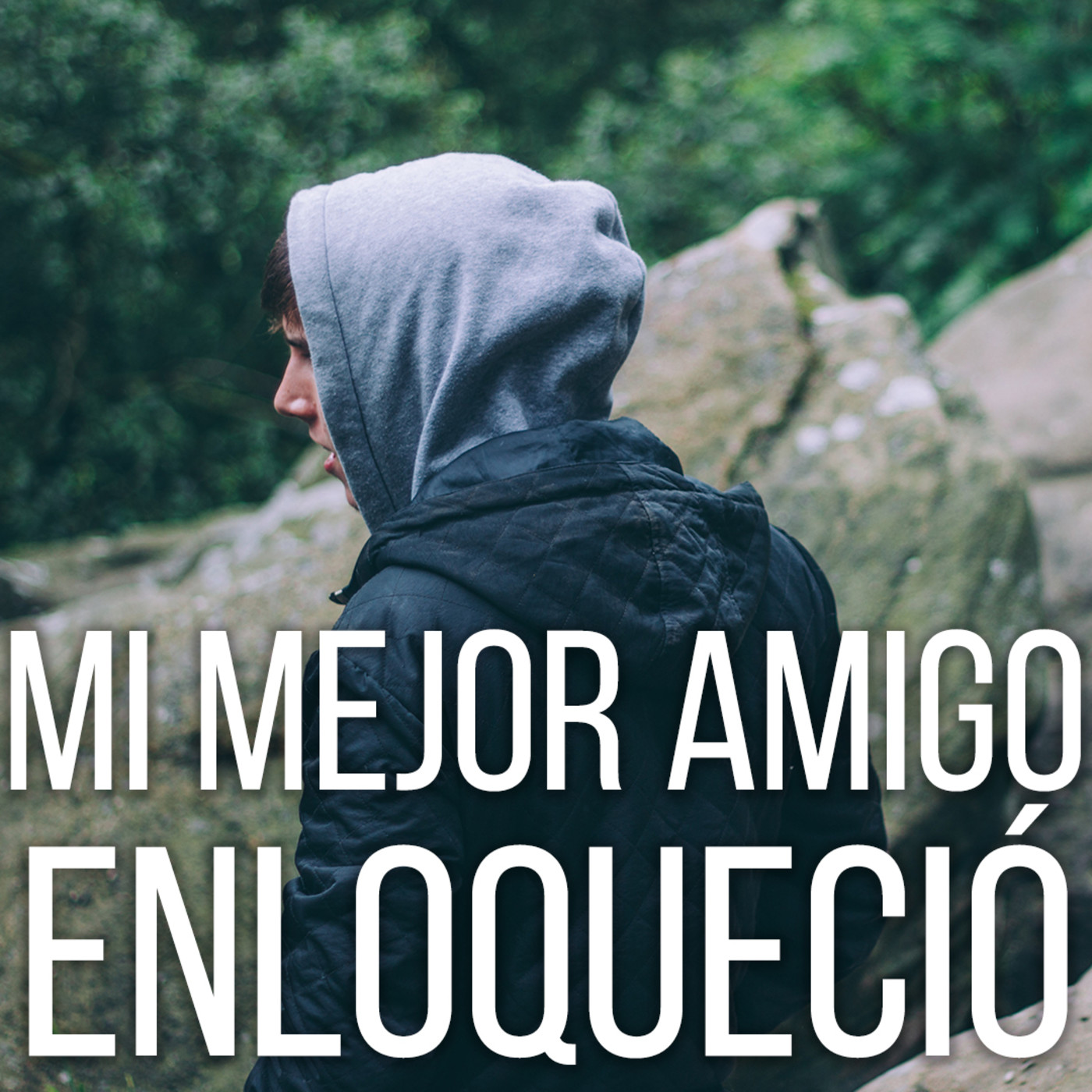 Fego Blog