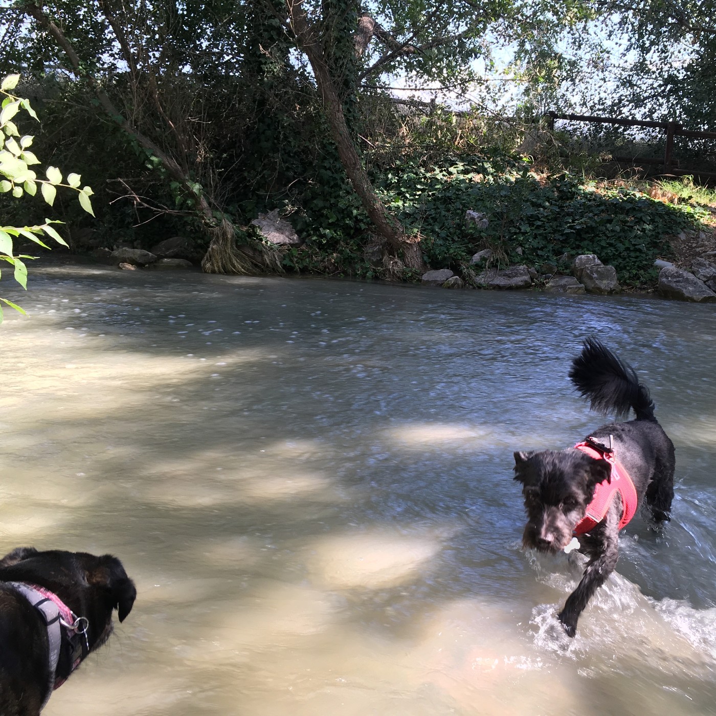 Cerca del río