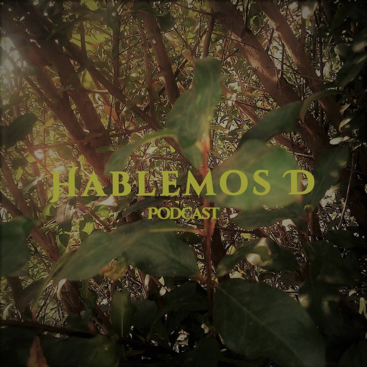HablemosD