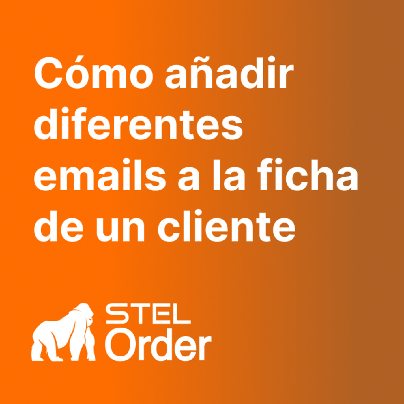 Ayuda y Soporte STEL Order