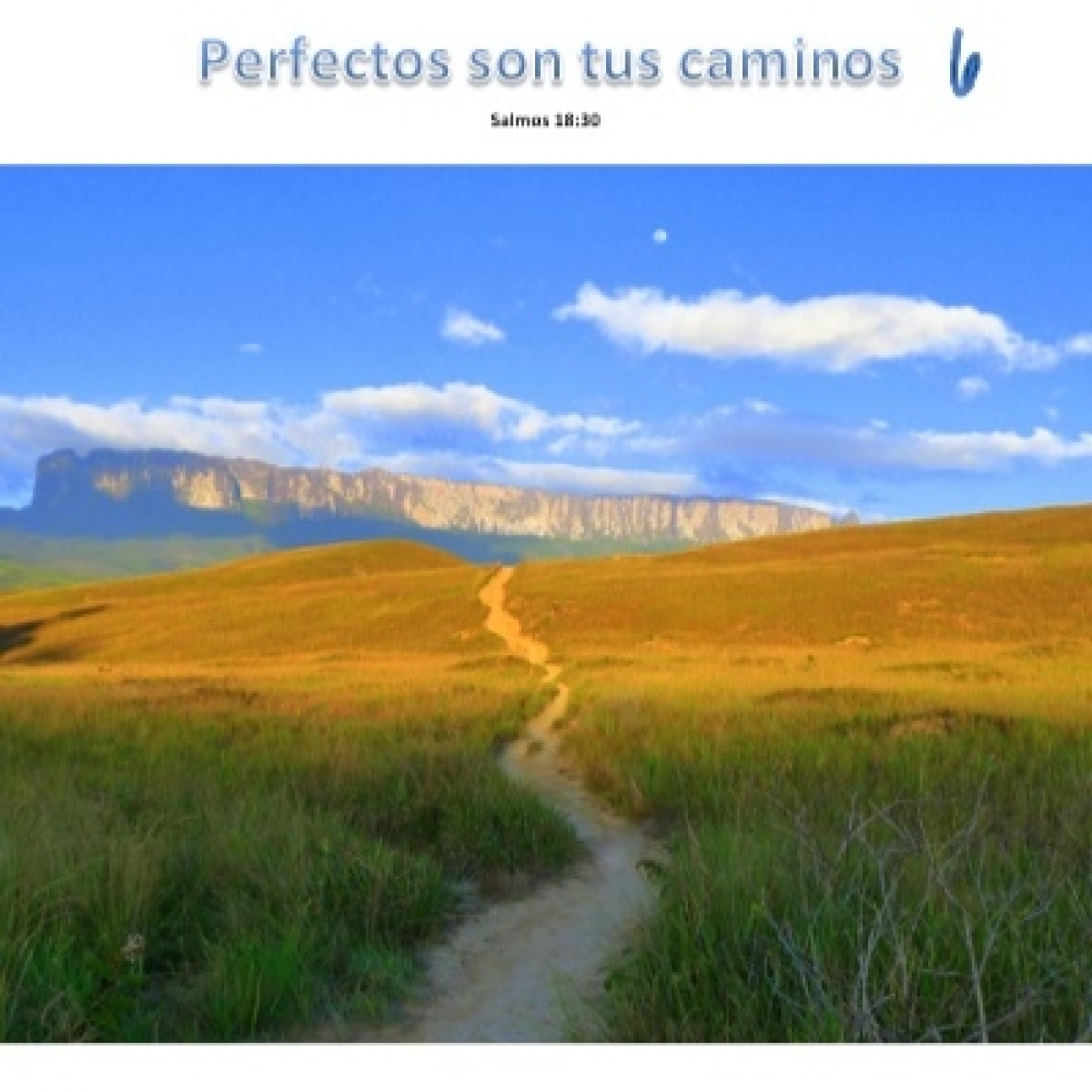 Podcast de Roberto Celaya Figueroa