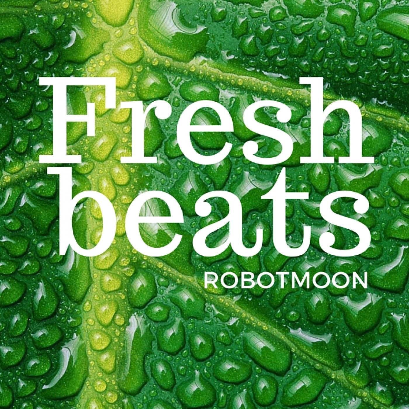 FRESH BEATS @ Robotmøøn Julio 2016 episode artwork