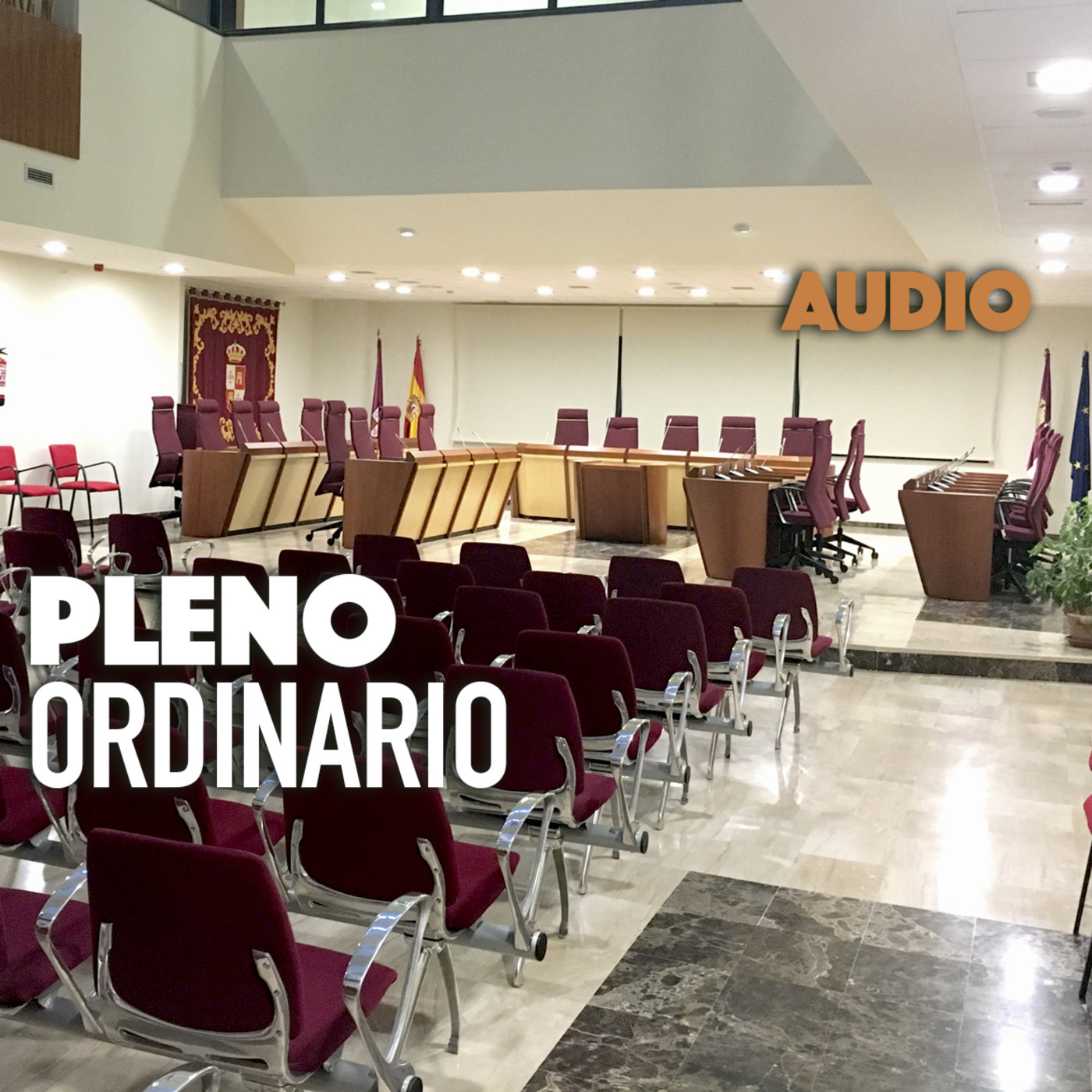 Pleno Ordinario del 25 de febrero de 2021 episode artwork