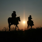 Love that country music 346