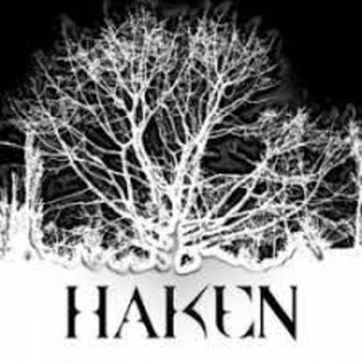 517 - Haken - Demos (2008) episode artwork