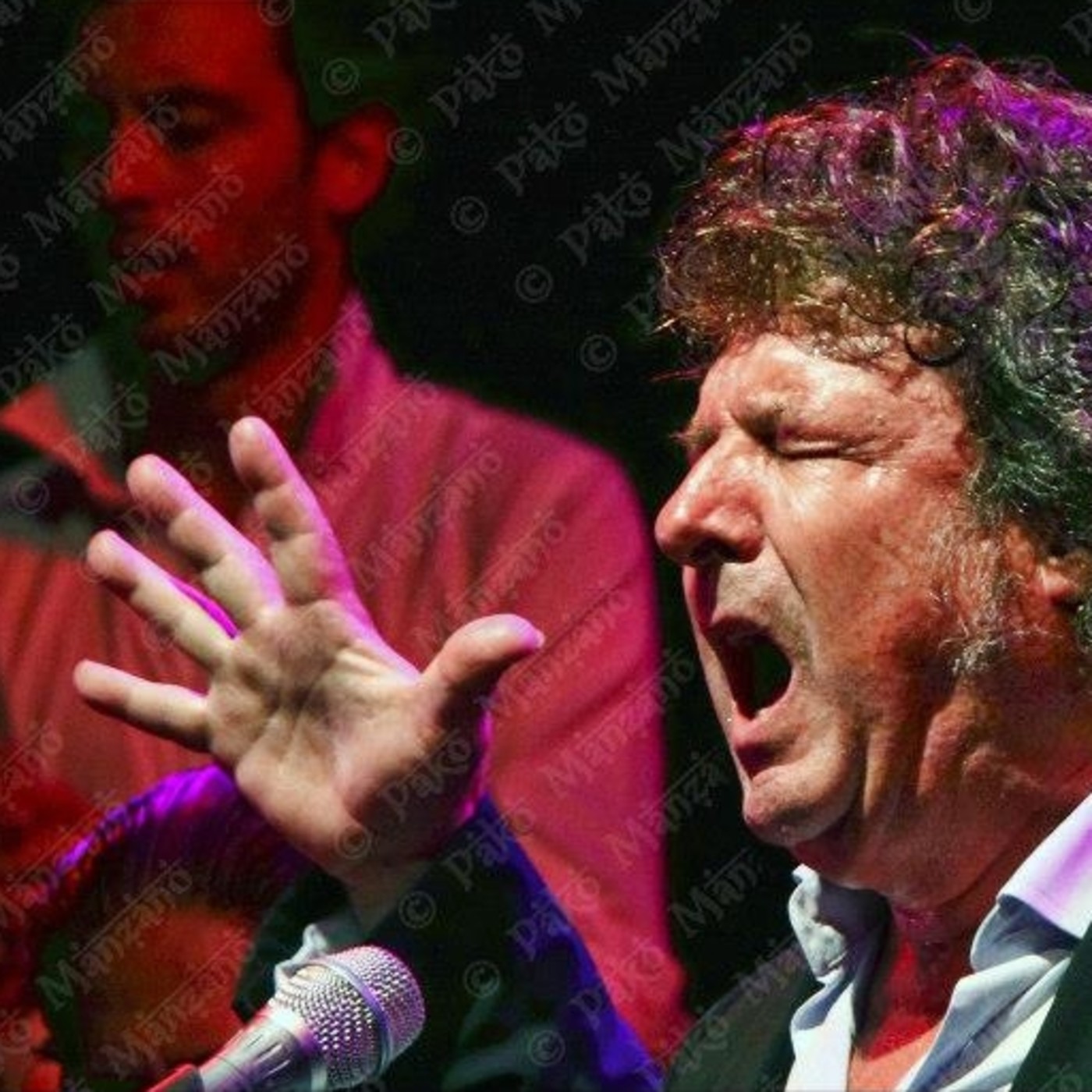 Enrique Morente: Fandangos episode artwork