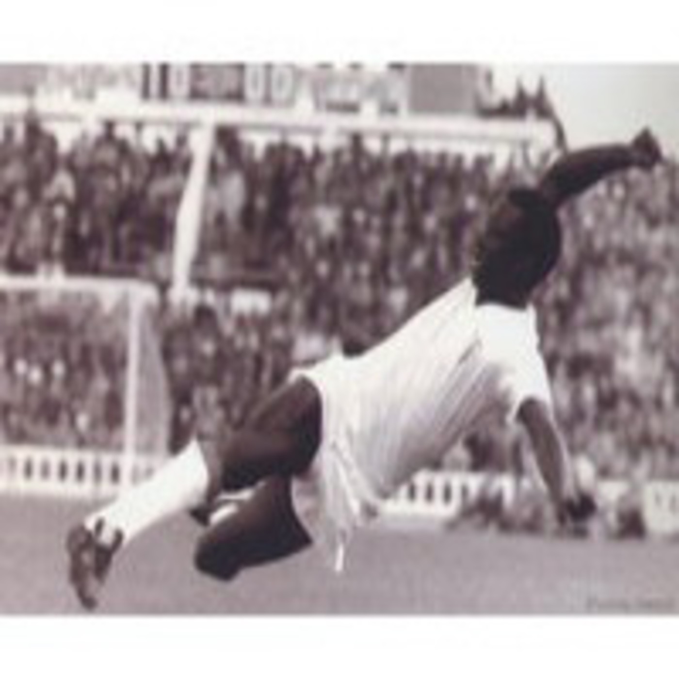 Podcast Versos Esféricos