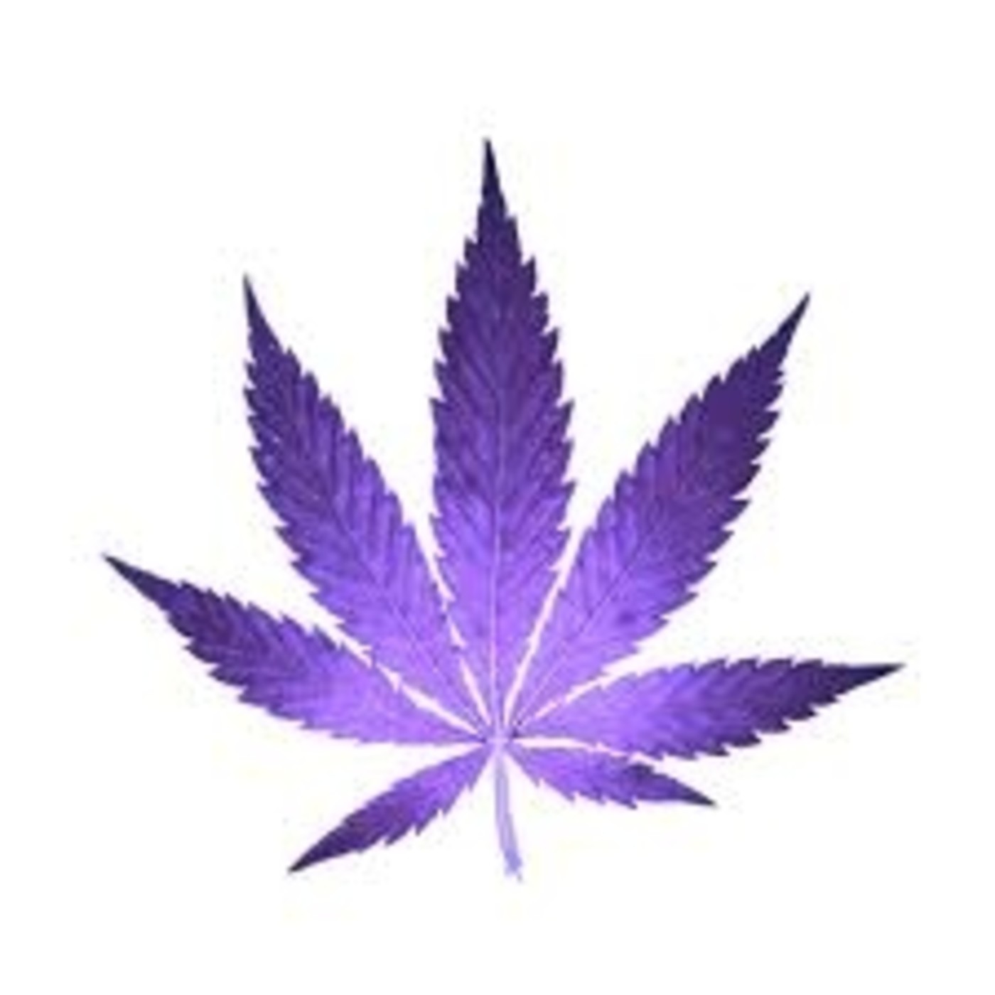 Especial Spannabis Feminista MARIHUANA TV RADIO DOCUDRAMA News 46 episode artwork