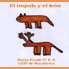 embed image