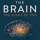 127 - El Cerebro (Tu Historia)
