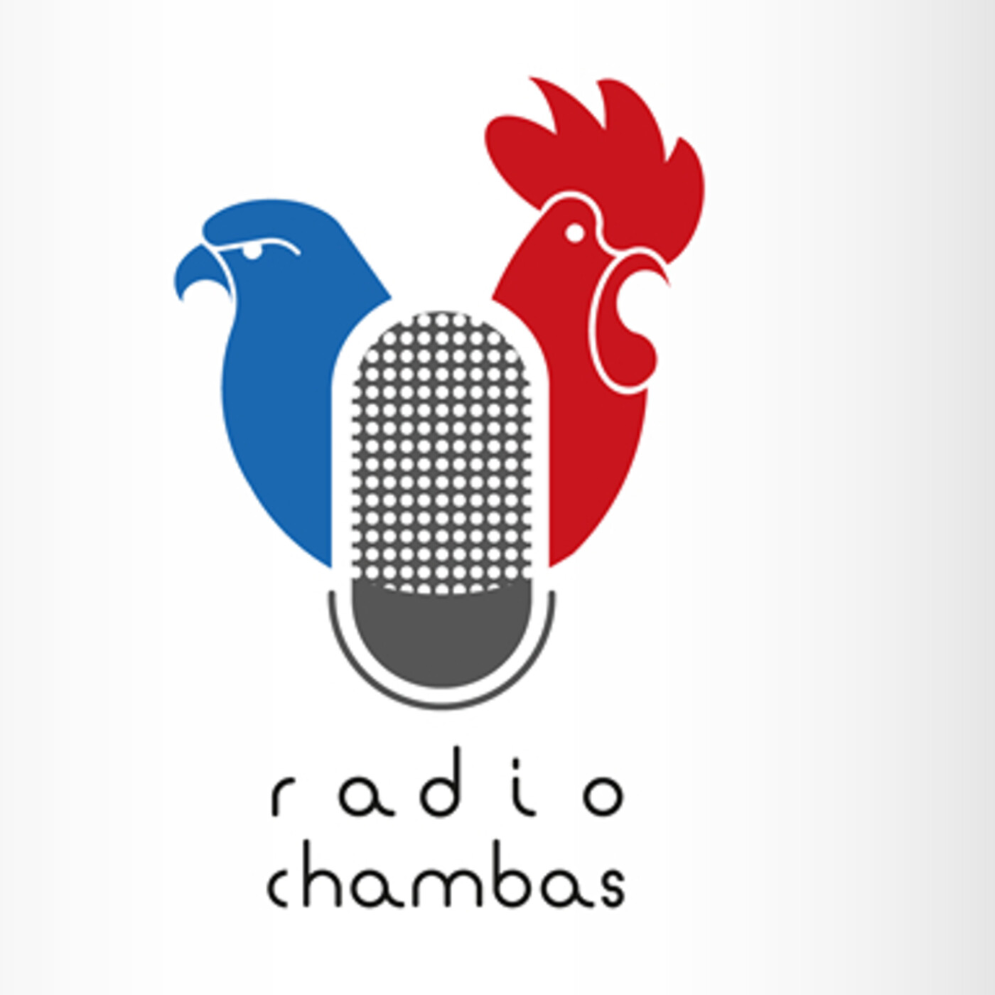 Declaraciones del Director Municipal de Transporte en Chambas episode artwork