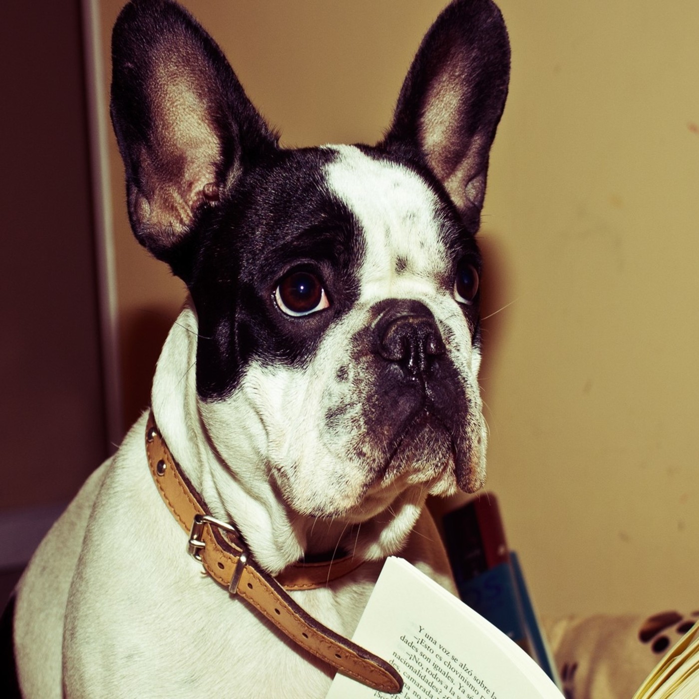 Literatura.fm
