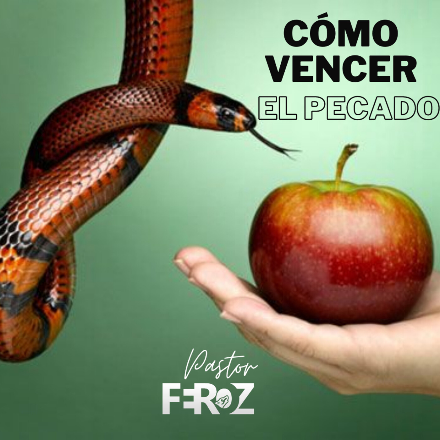 AARON FEROZ ROMERO